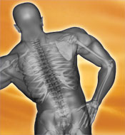 healthy lower back secrets, help fix your lower back pain