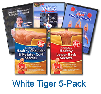 White Tiger Wellness 5-Pack DVDs